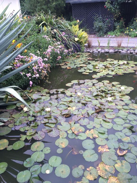 Water Lily Garden Bed & Breakfast Christchurch Exterior foto