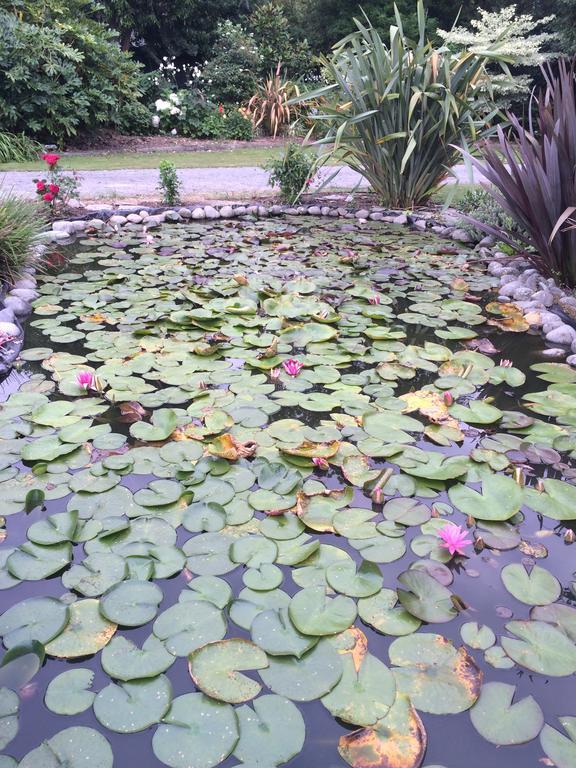 Water Lily Garden Bed & Breakfast Christchurch Exterior foto