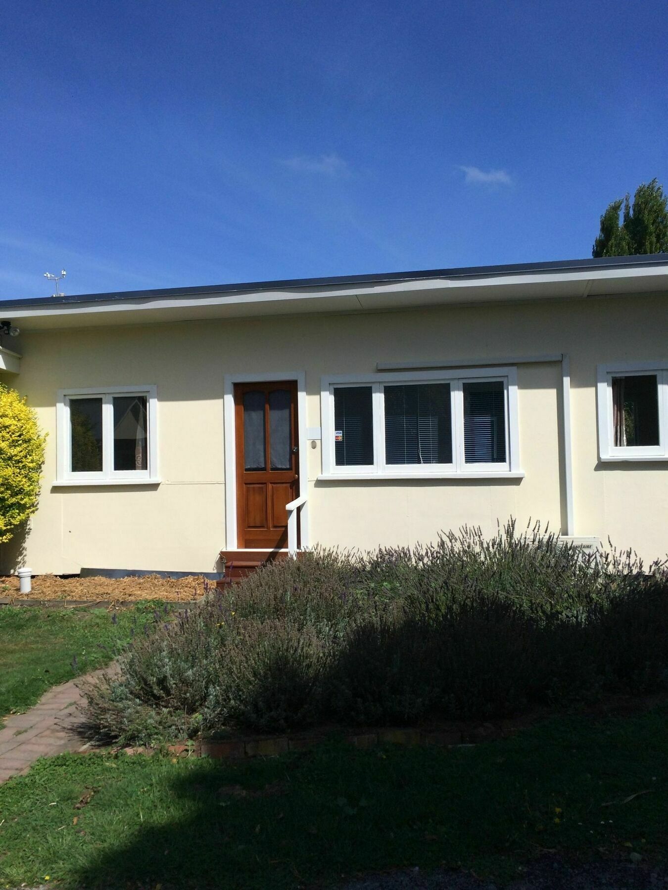 Water Lily Garden Bed & Breakfast Christchurch Exterior foto